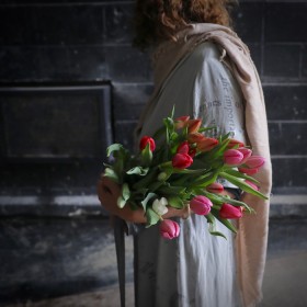 Tulip Fever